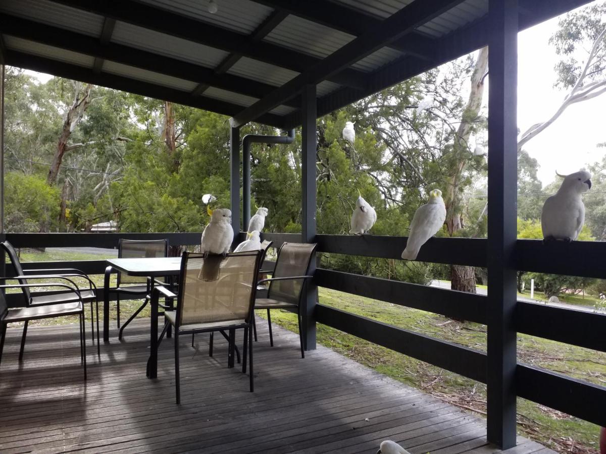 B&B Halls Gap - Cockatoo Cabin - Bed and Breakfast Halls Gap