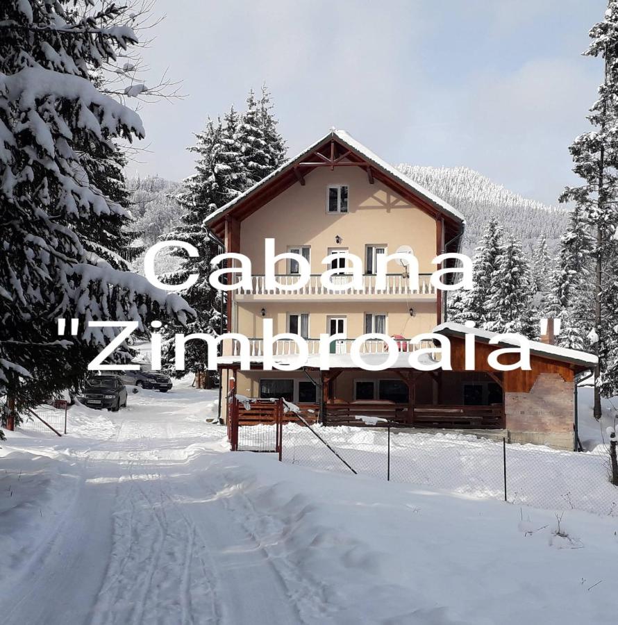 CABANA ZIMBROAIA - B&B