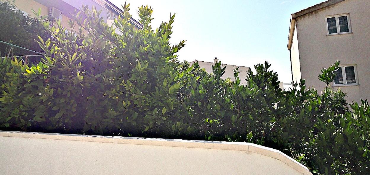 Appartamento con 1 Camera da Letto e Balcone