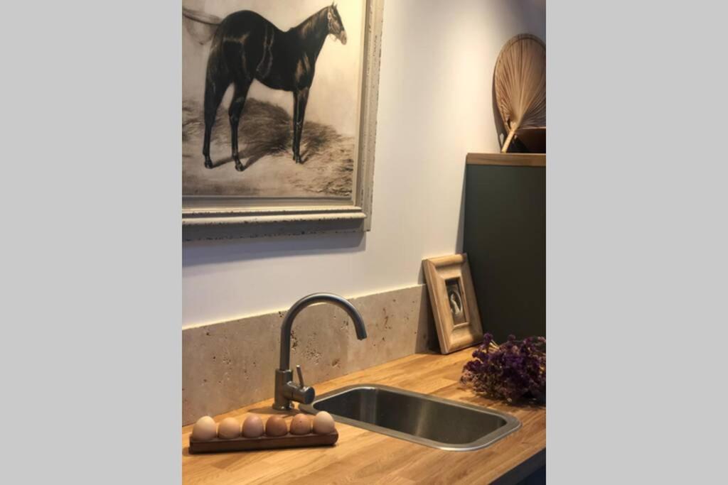 Cottage Normand avec sa grande piscine chauffée toute l année sur parc arboré et clos En plein coeur de la campagne adapté aux kids et Dog friendly - Chambres d'hôtes Saint-Antonin-de-Sommaire