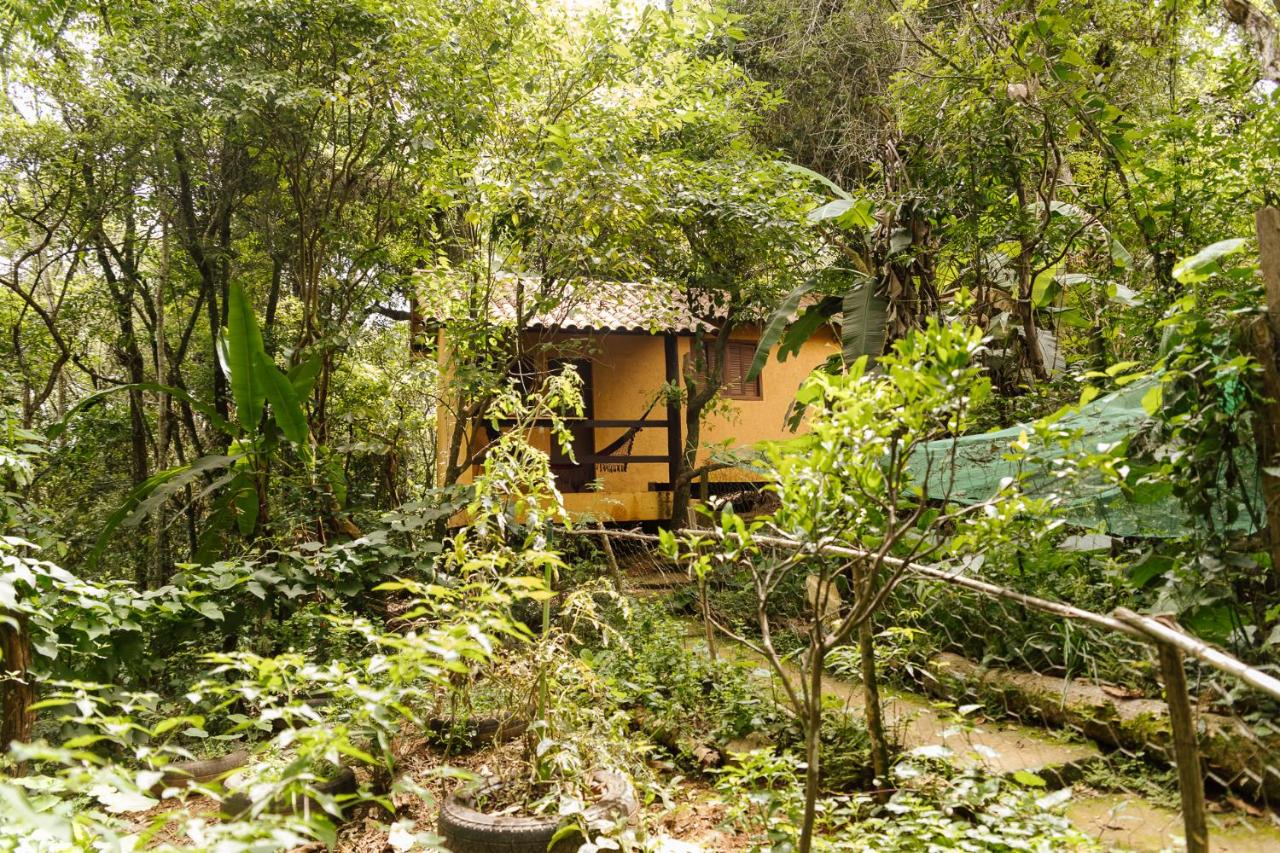 One-Bedroom Chalet (Orange)