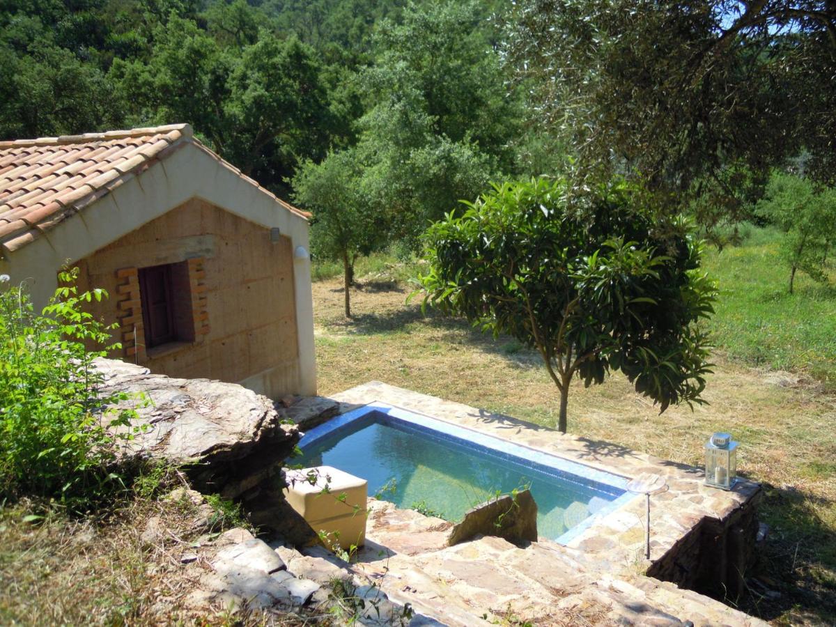B&B Troviscais - Quiet and cottage in the estate Casas da Cerca - Bed and Breakfast Troviscais