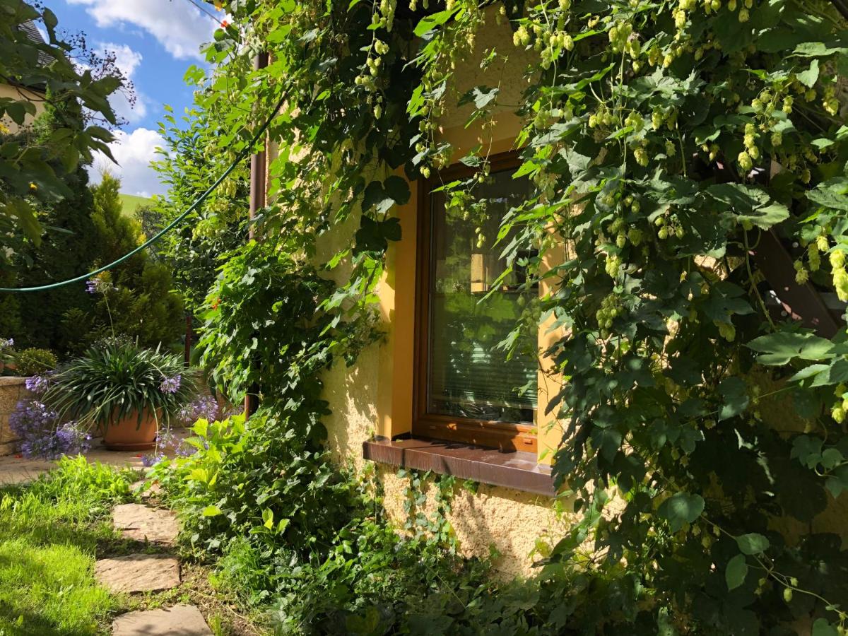 Ferienhaus Erzgebirge "An der Trebe" mit Kamin und Sauna - Chambres d'hôtes Neuhausen