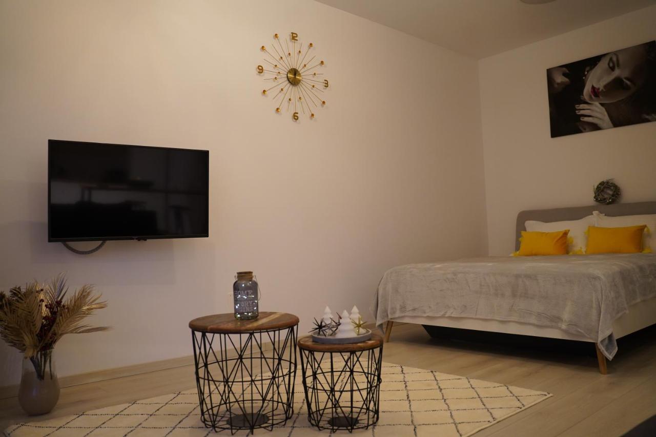 Appartamento con 1 Camera da Letto