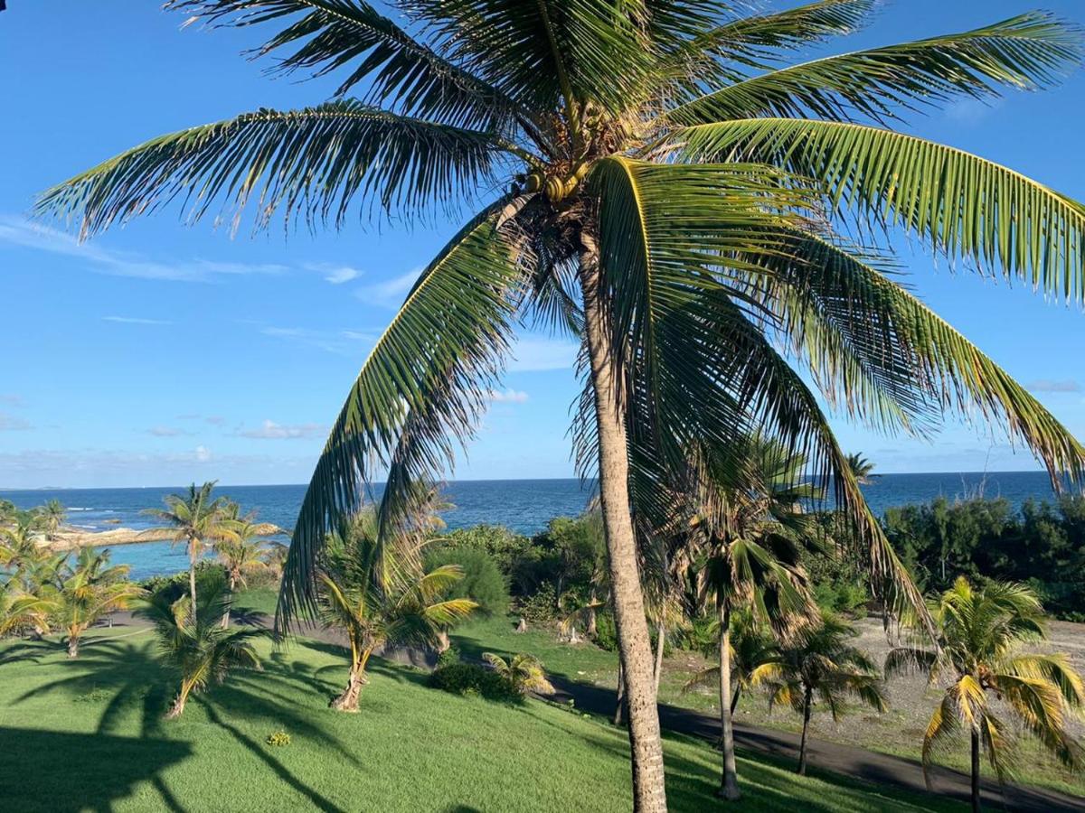 Appartement au village Manganao plage piscine - B&B