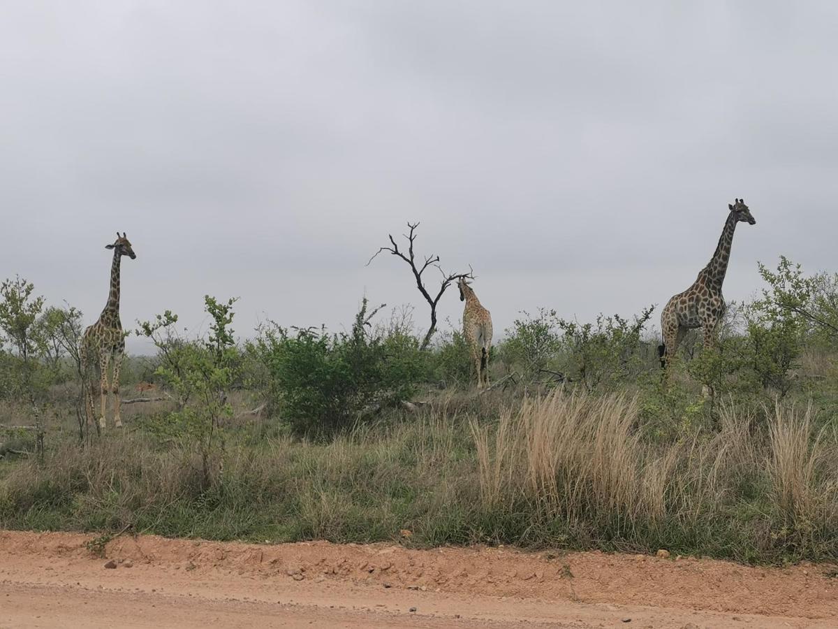 Crocodile Bend - B&B Mpakeni