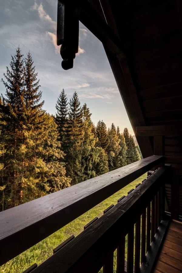 Ski, hike & bike apartmán Rokytnice nad Jizerou - B&B
