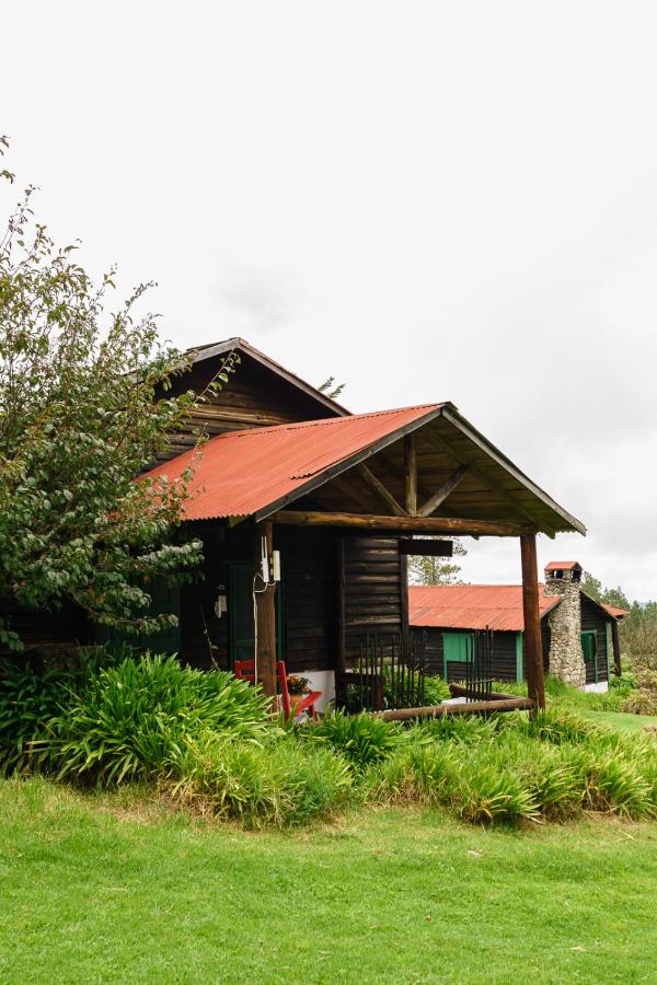 Vierbettzimmer mit Gartenblick