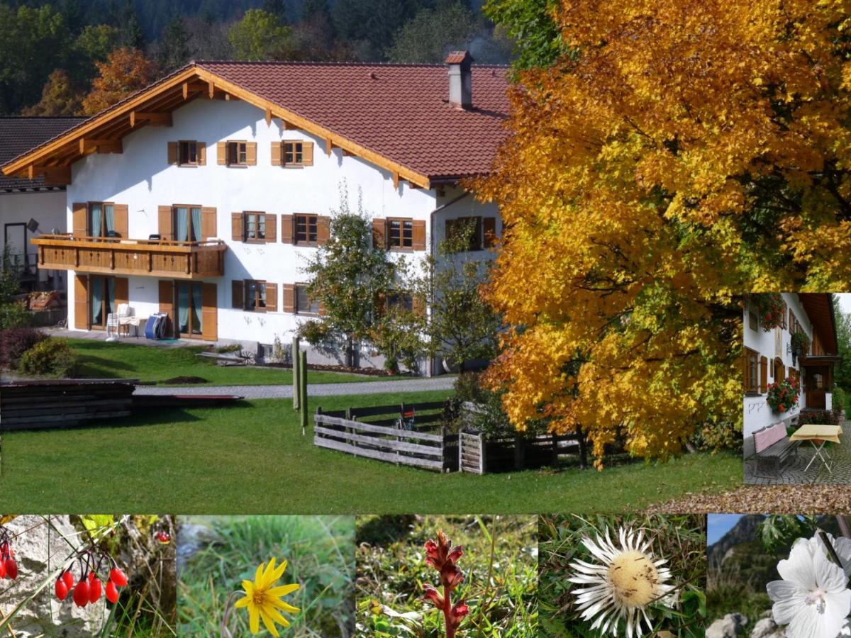 Ferienwohnungen Hennenmühle - B&B