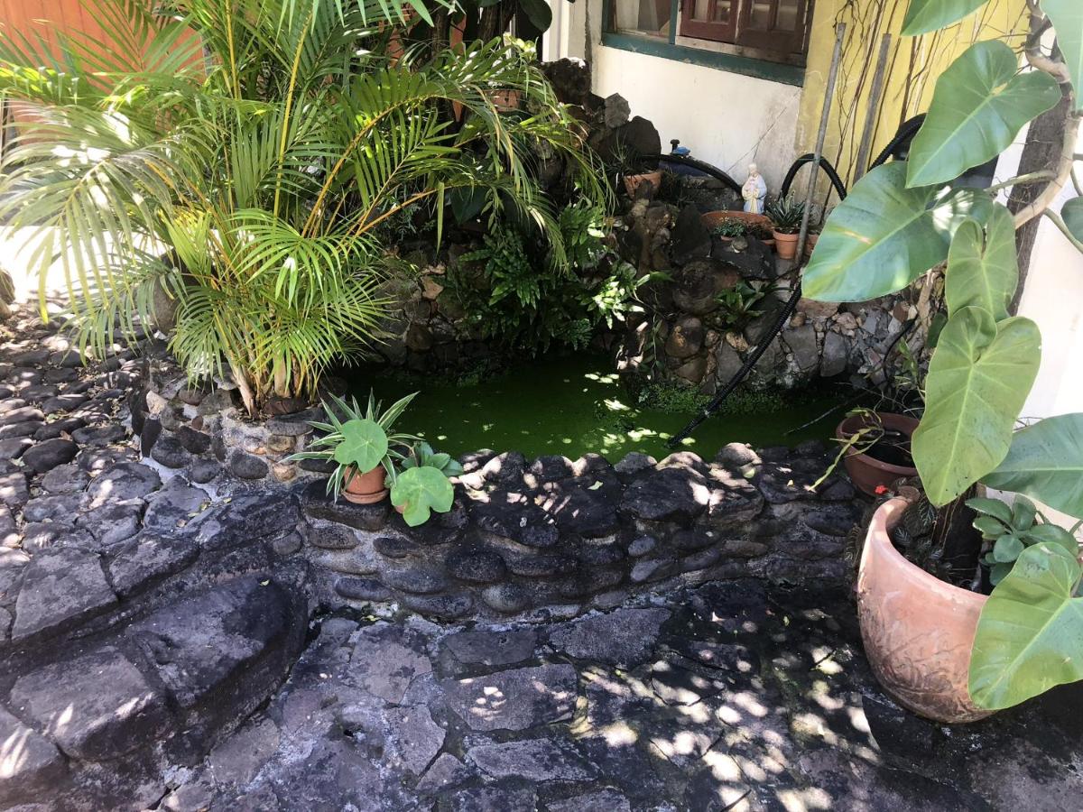 Studio charmant à Basse Terre, vue sur jardin, 15 m² - B&B Basse-Terre