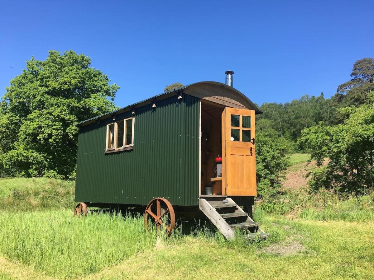 B&B Castle Douglas - Cosy woodland off Grid Shepherds Hut - Rowan - Bed and Breakfast Castle Douglas