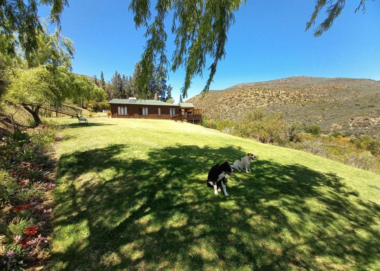Eagle Falls Country Lodge & Adventures - B&B