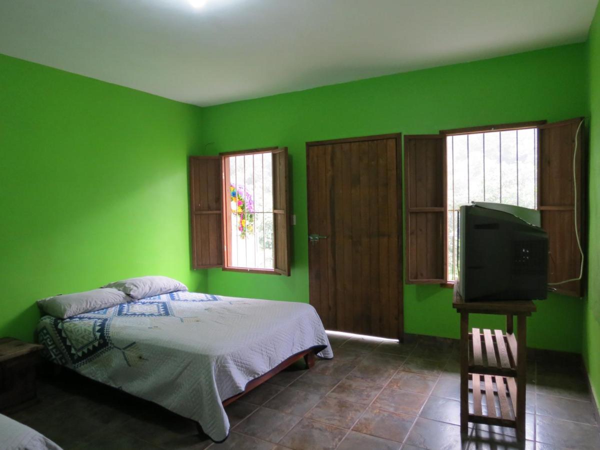 Twin Room with Garden View