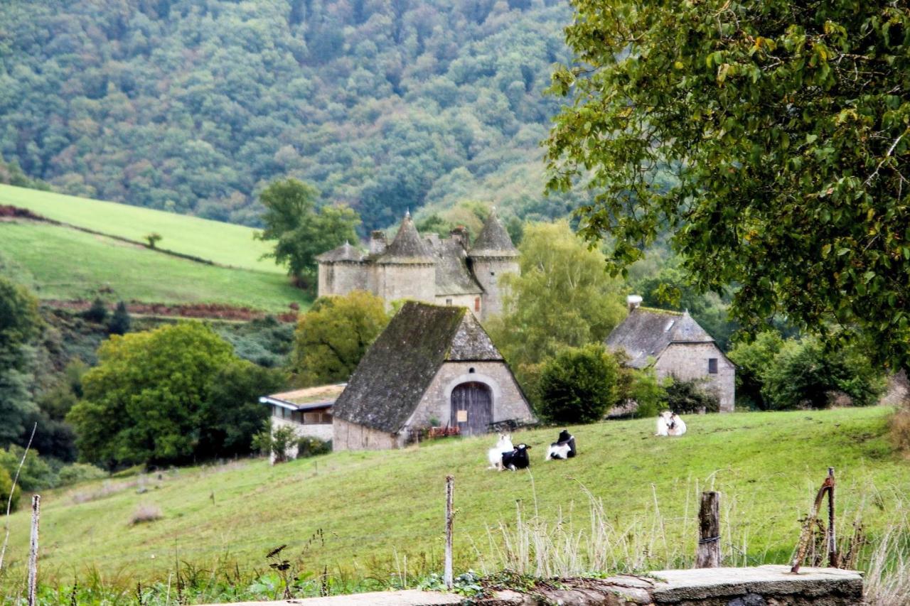 Maison accueillante à Senezergues avec vue sur la montagne - B&B
