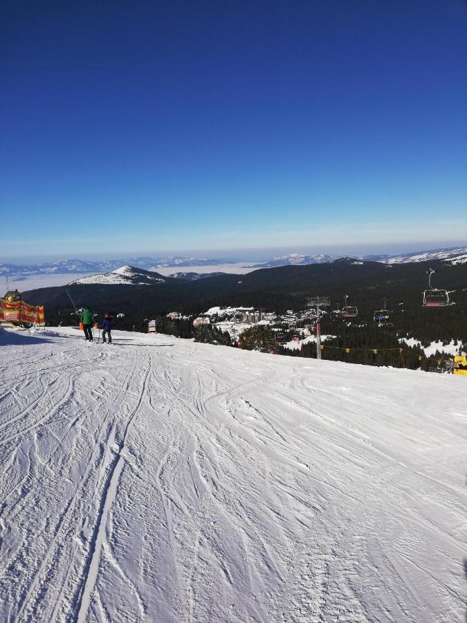 Appartamento con 1 Camera da Letto