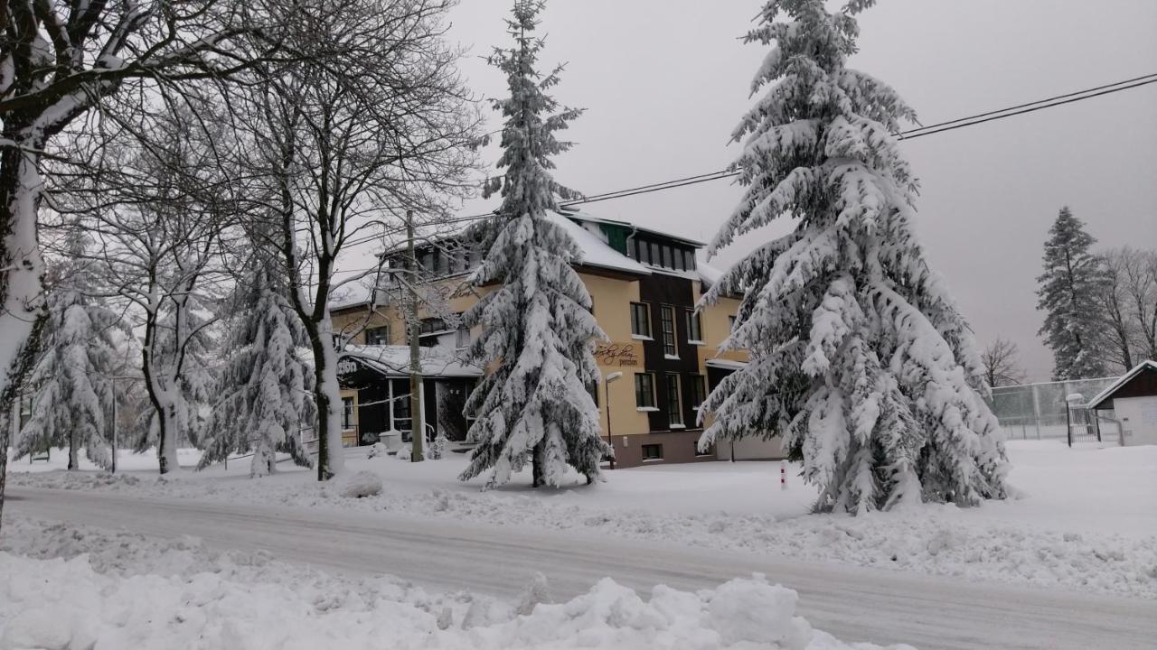 Penzion Švýcarský dům - B&B
