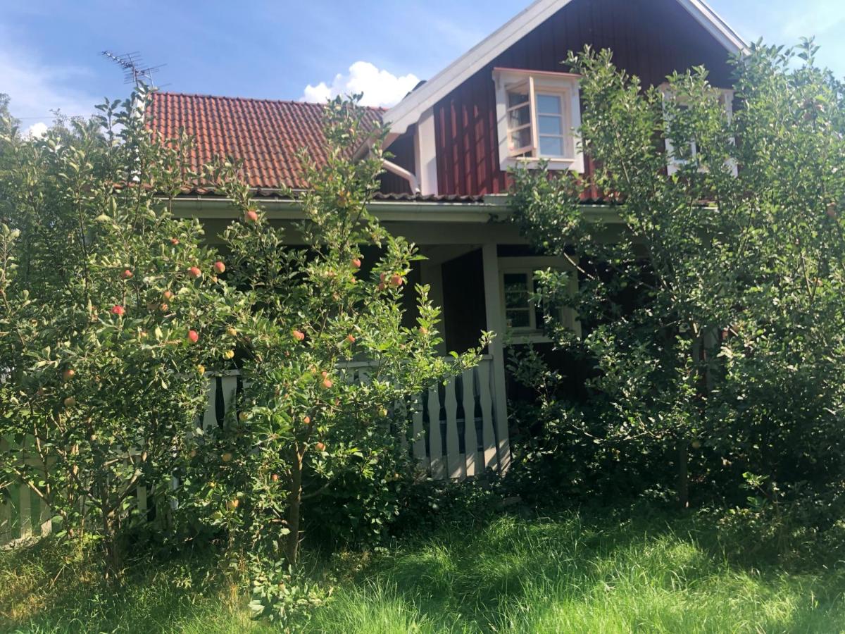 Musteriet i Djursdala - Ferienwohnung