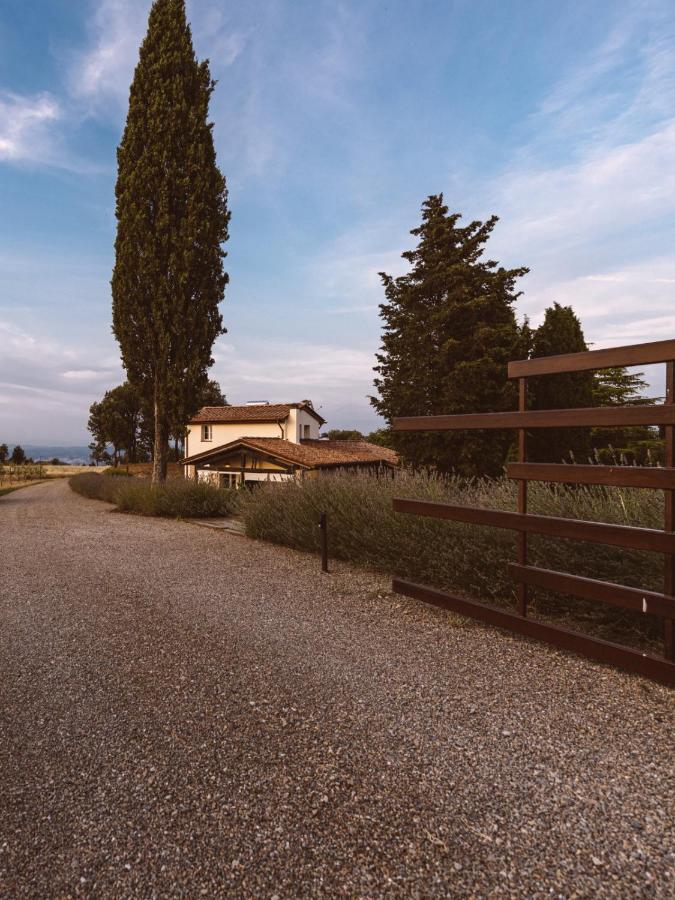 Borgo Le Colline Luxury Agriturismo in Tuscany - B&B