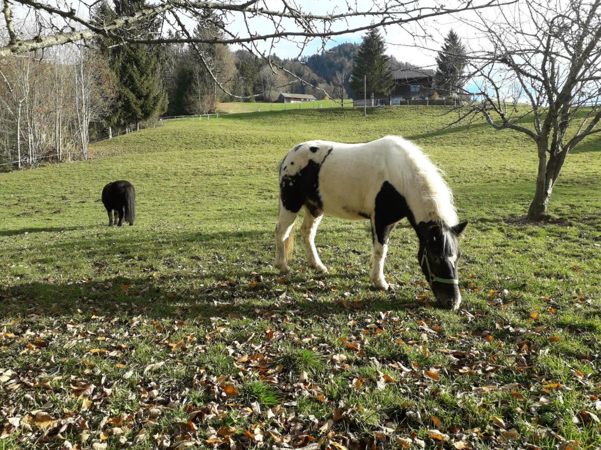 B&B Hittisau - Haus Hagspiel - Bed and Breakfast Hittisau