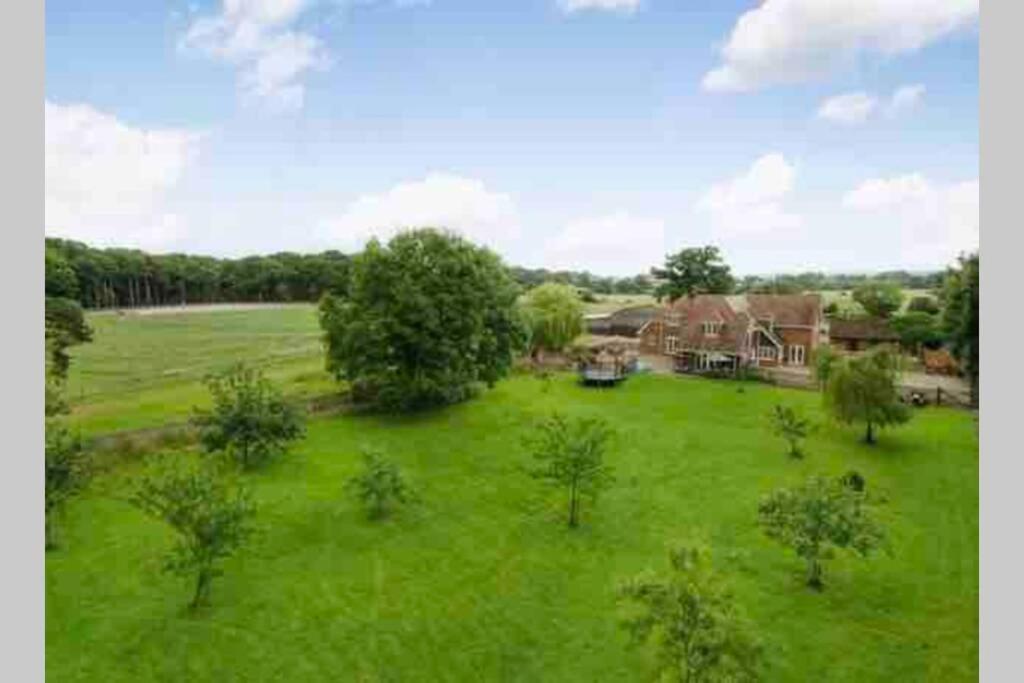 Langford farmhouse - New Forest National Park Luxury 4bd, hot tub, cinema, 10 acres - Chambres d'hôtes Bartley