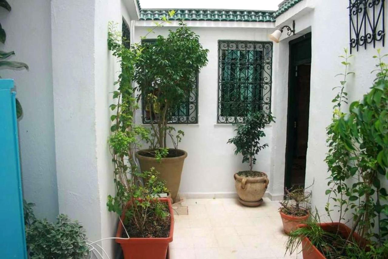 Charming Apartment in Central Tunis with Terrace - B&B