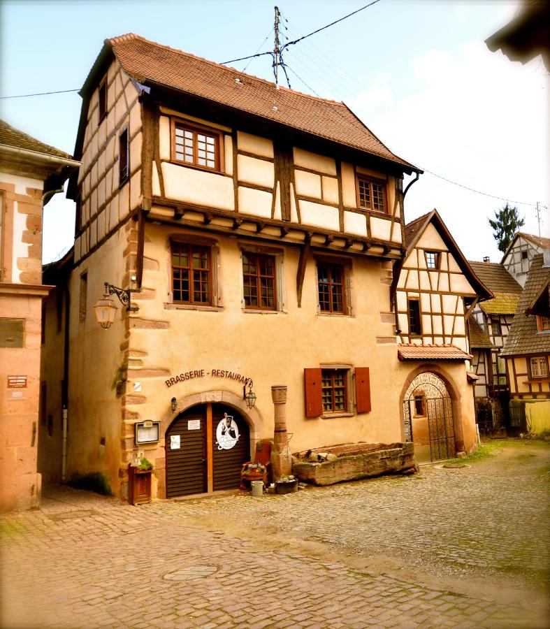 My Riquewihr - B&B Riquewihr