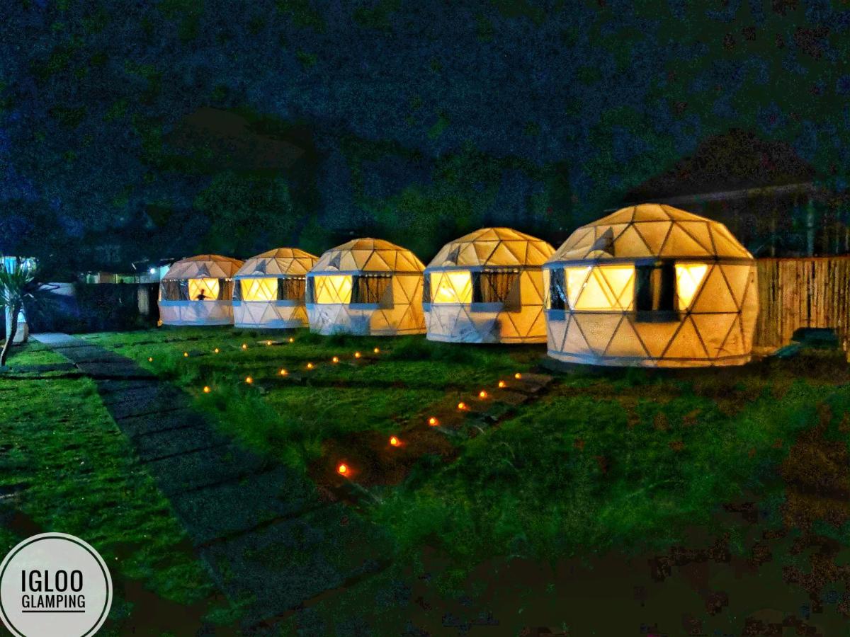 B&B Kintamani - Igloo Glamping Bali - Bed and Breakfast Kintamani