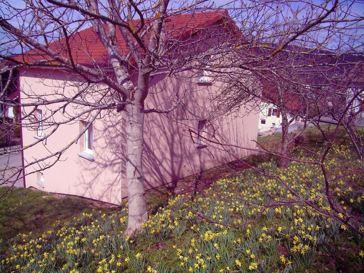 Maison spacieuse près de Gérardmer avec vue sur le lac - Chambres d’hôtes Gérardmer