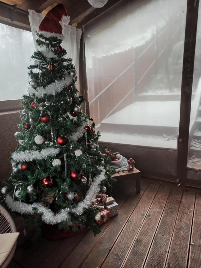 Appartamento con Vista Montagna