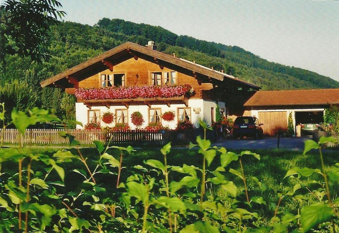 Ferienwohnung Osenstetter - Ferienwohnung