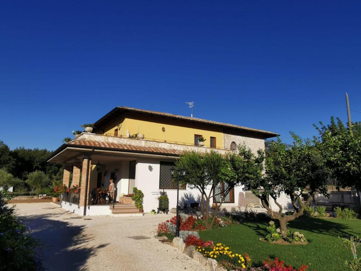B&B Sykelgrima - B&B