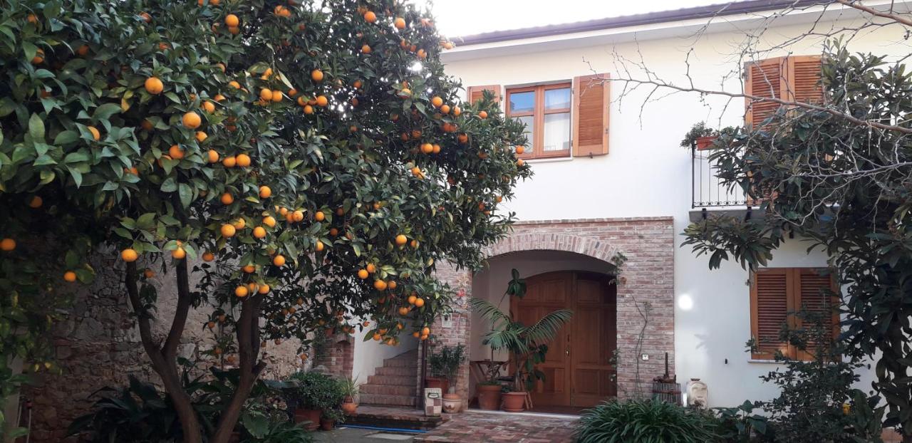 L'arancio Antico - Chambres d’hôtes
