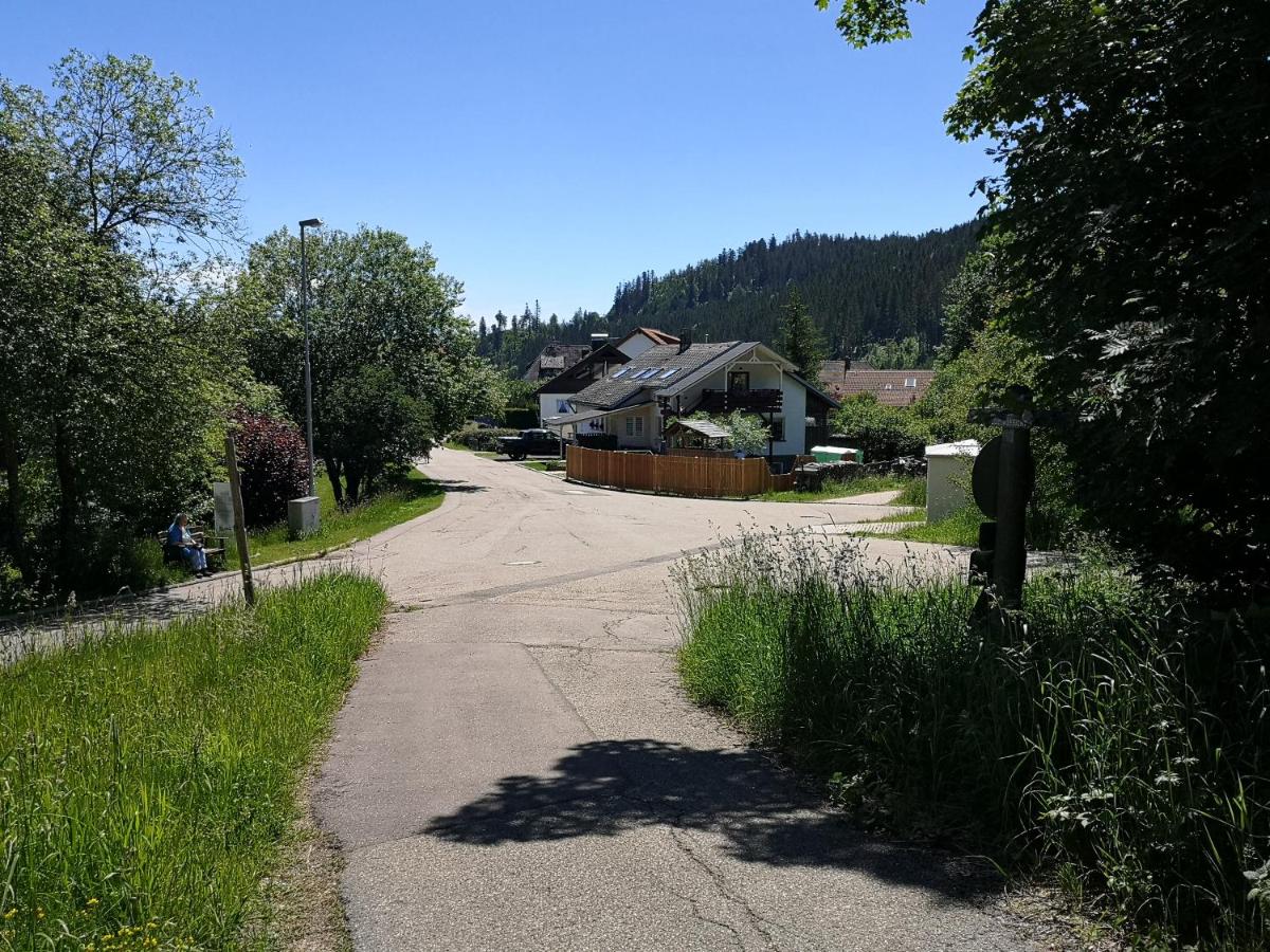 Ankommen und loswandern Familien und Hundeurlaub im Hochschwarzwald Ferienwohnung Haus Maria - Chambres d'hôtes Sankt Blasien