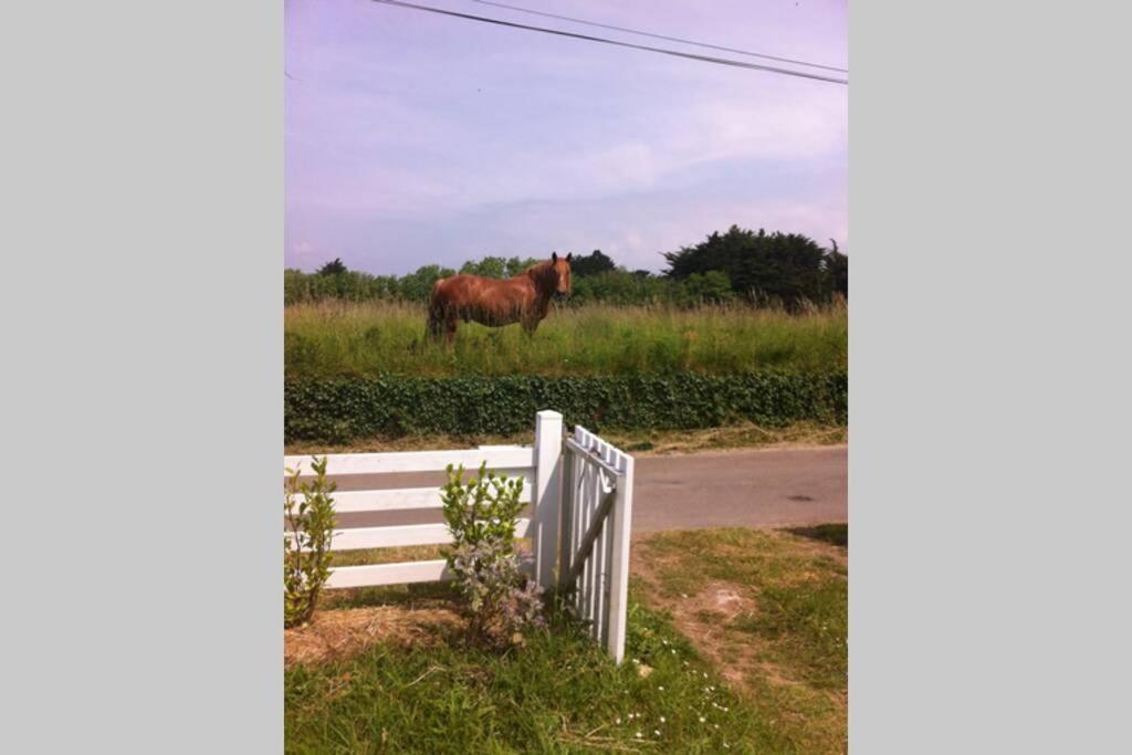 Detached House near beaches - B&B Esquibien