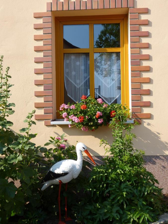 Landpension Adebar - B&B Linum