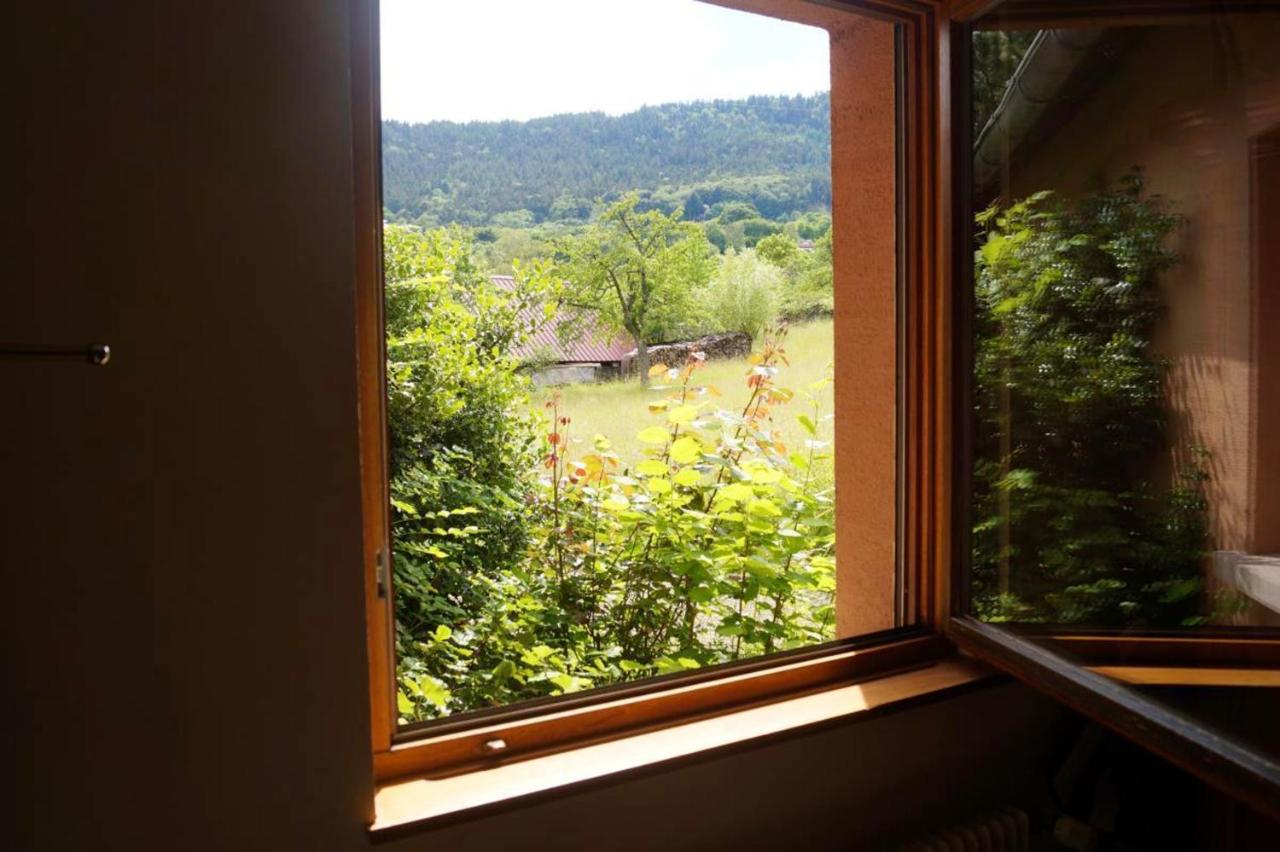 Appartement charmant à Thannenkirch avec vue montagne - Chambres d'hôtes Thannenkirch