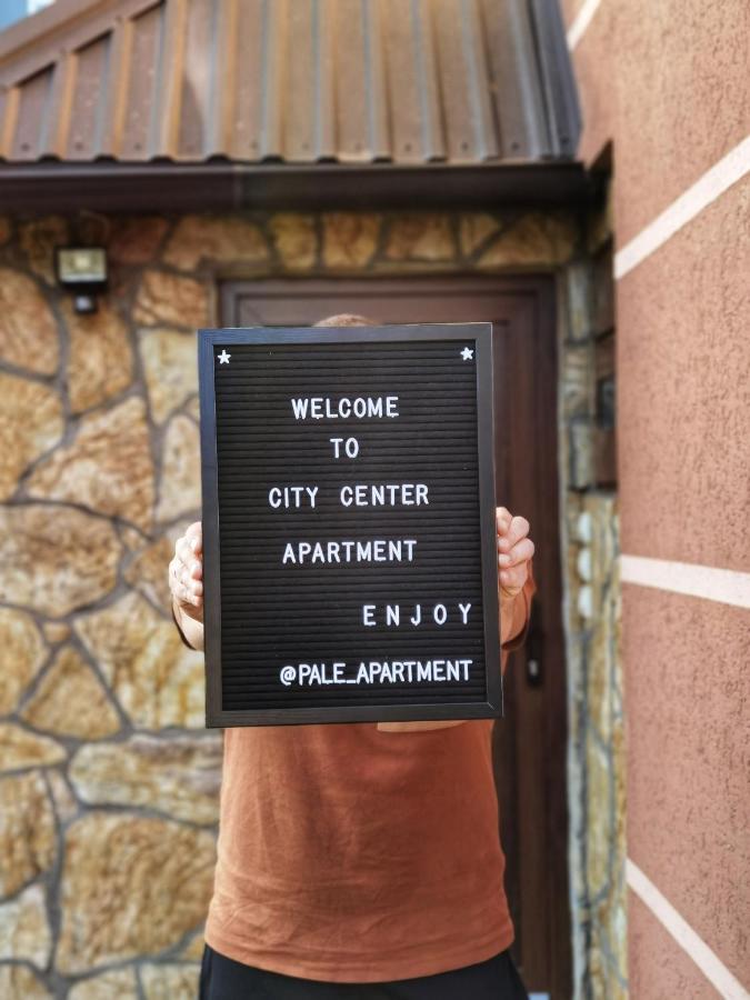 Pale city center apartment - B&B
