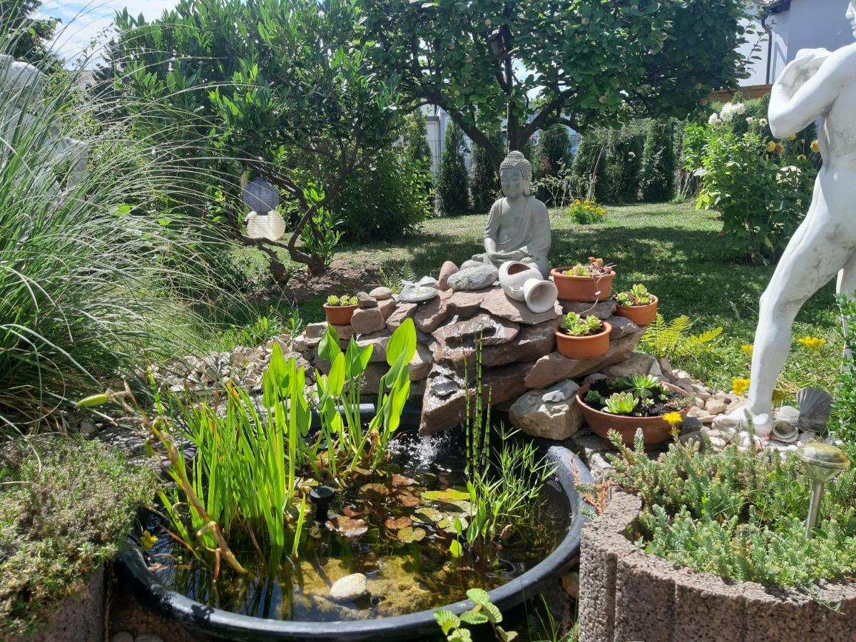 Studio with Garden View