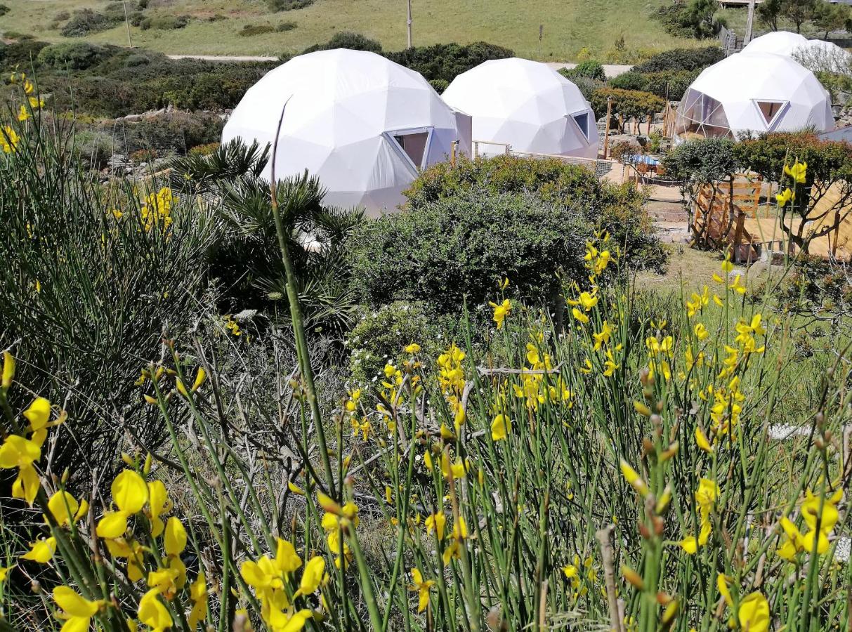 B&B Sant'Antioco - B&B Glamping Semaforo Capo Sperone - Bed and Breakfast Sant'Antioco