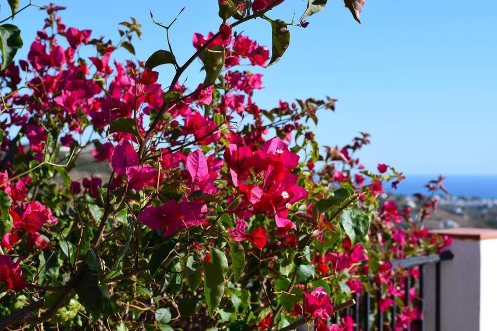 El Quinto Pino, Frigiliana Luxury Country villa with pool and parking HansOnHoliday Rentals - Chambres d'hôtes Frigiliana