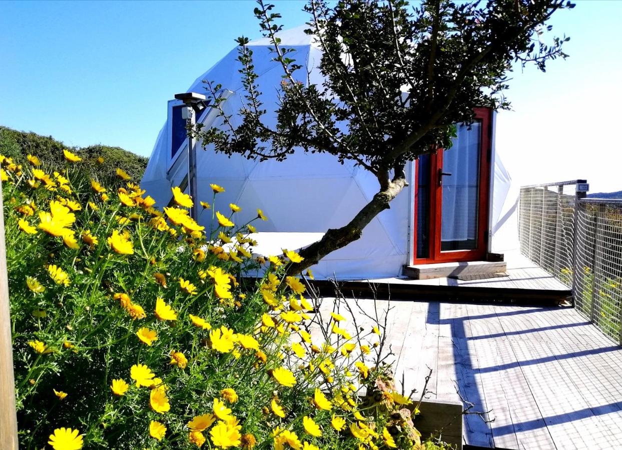 B&B Glamping Semaforo Capo Sperone - B&B