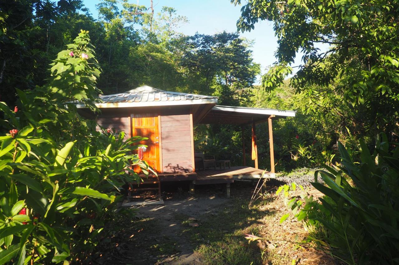 Bungalow - Vue sur Jardin
