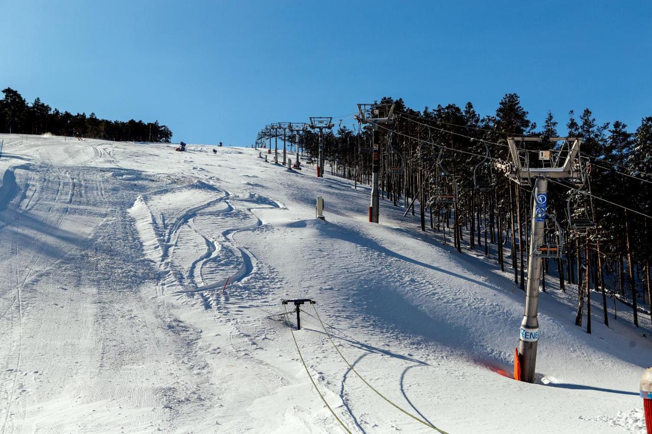 Appartement 1 Chambre