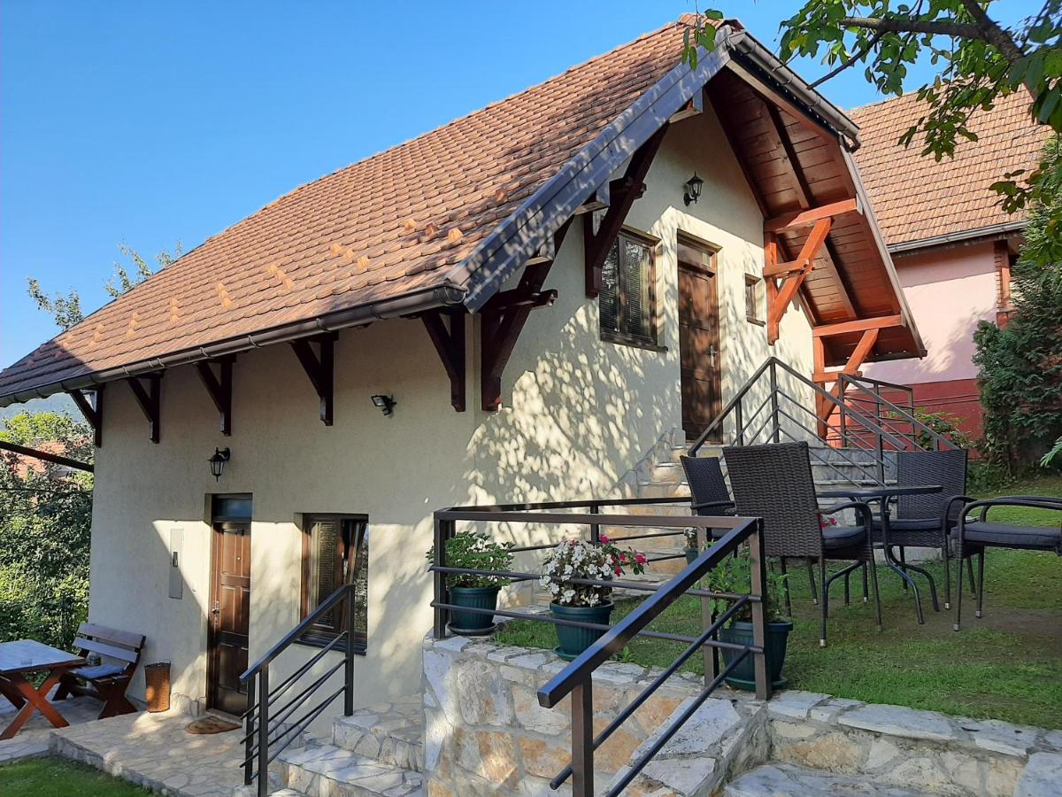 B&B Bajina Bašta - Apartmani Ogi i Ana - Bed and Breakfast Bajina Bašta