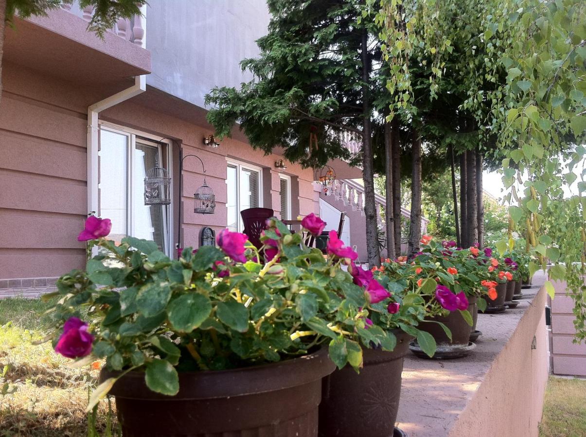 VNVP Amber - Bed and Breakfast Štip