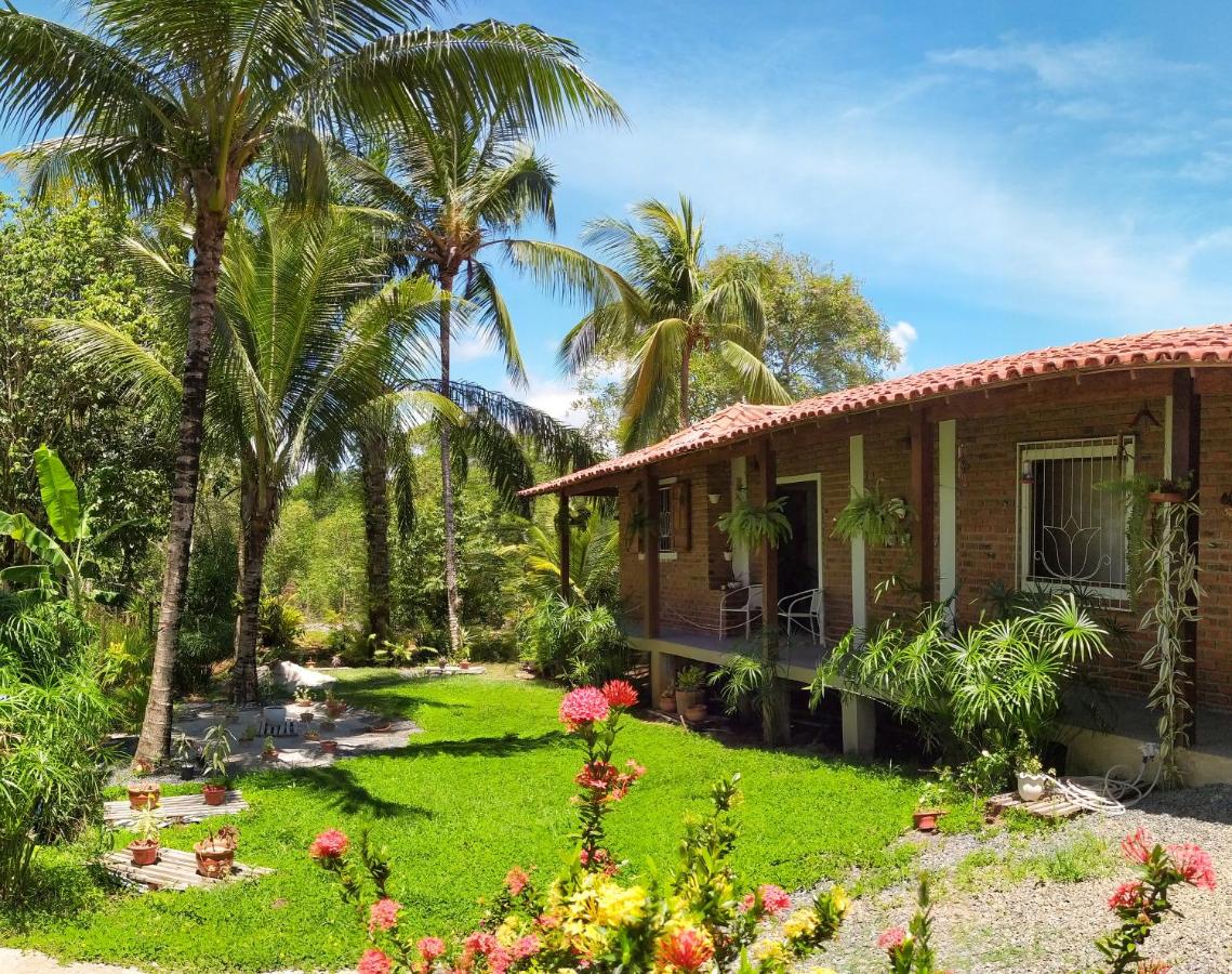 Flats Beija-Flor - B&B
