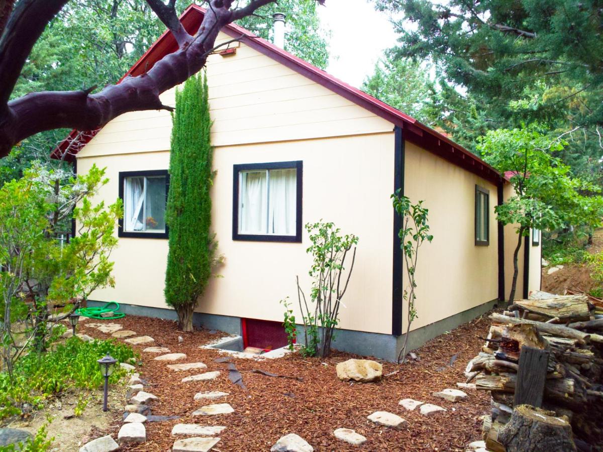 Time Traveler Retreat - B&B