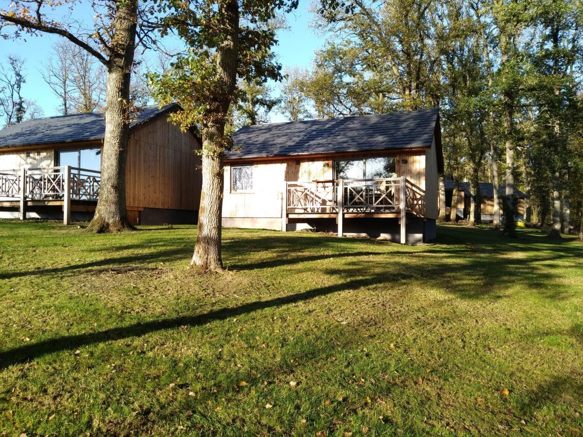 Chalet au bois d'Ourthe - Bed and Breakfast Somme-Leuze
