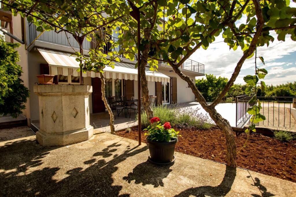 Herak - Smoljan - Ferienwohnung Rovinj