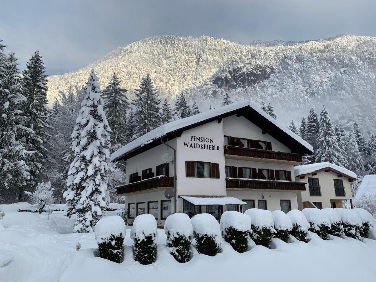 Pension & Apartments Waldkrieber - B&B Presseggersee